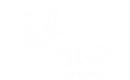 Logo GGZ Oost Brabant
