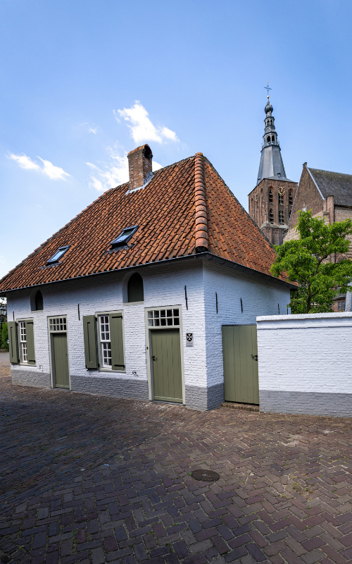 Ontwerp zonder titel ()
